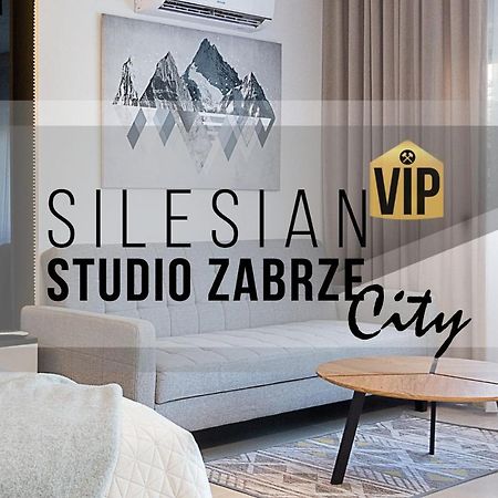 Studio Silesian Vip City Centrum Free Parking Zabrze Exterior photo