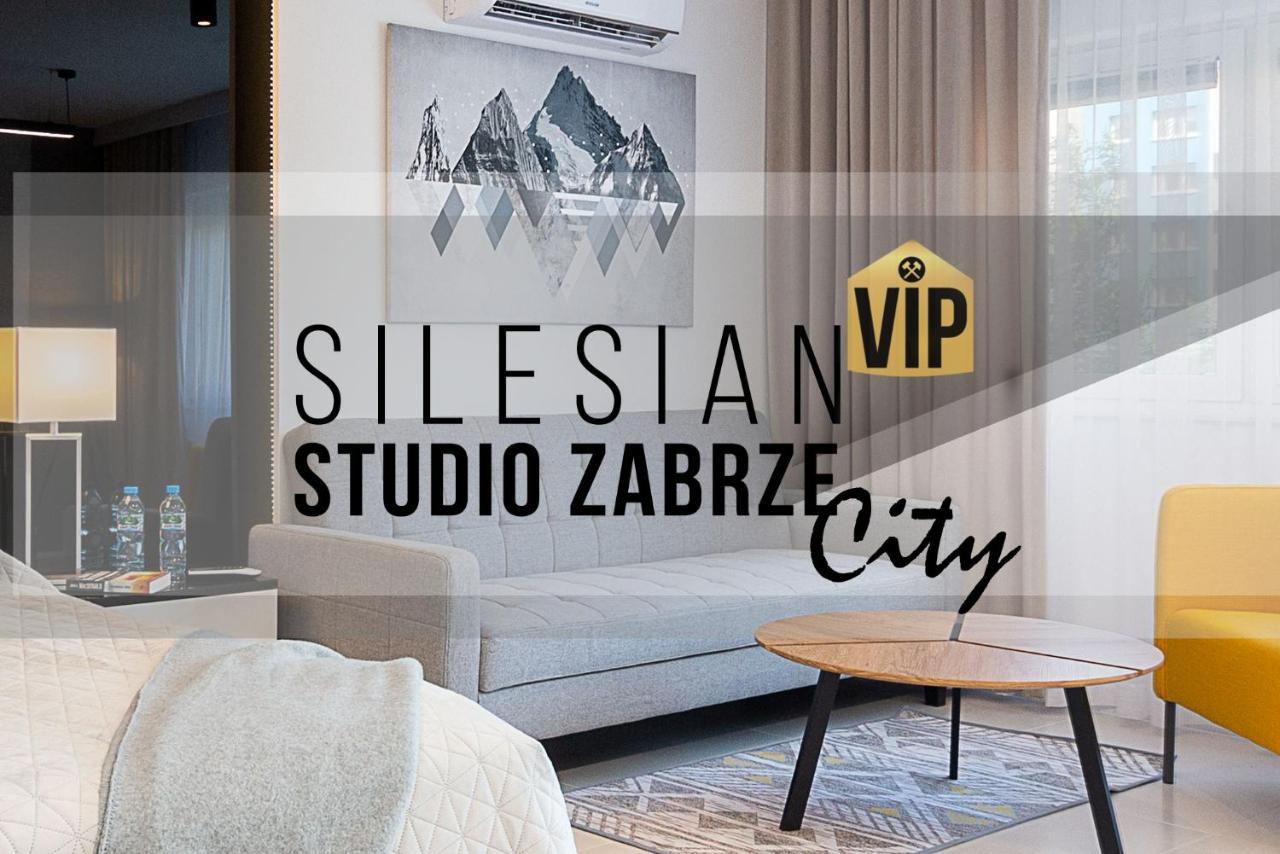 Studio Silesian Vip City Centrum Free Parking Zabrze Exterior photo
